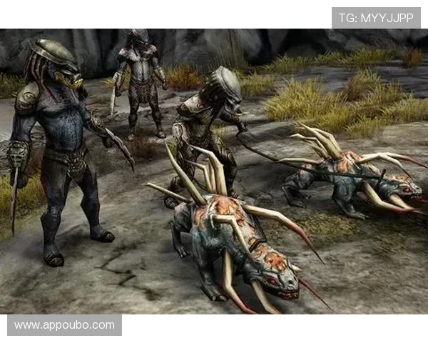 菲律宾欧博网最新技术保障，确保每一次交易和游戏过程都安全可靠